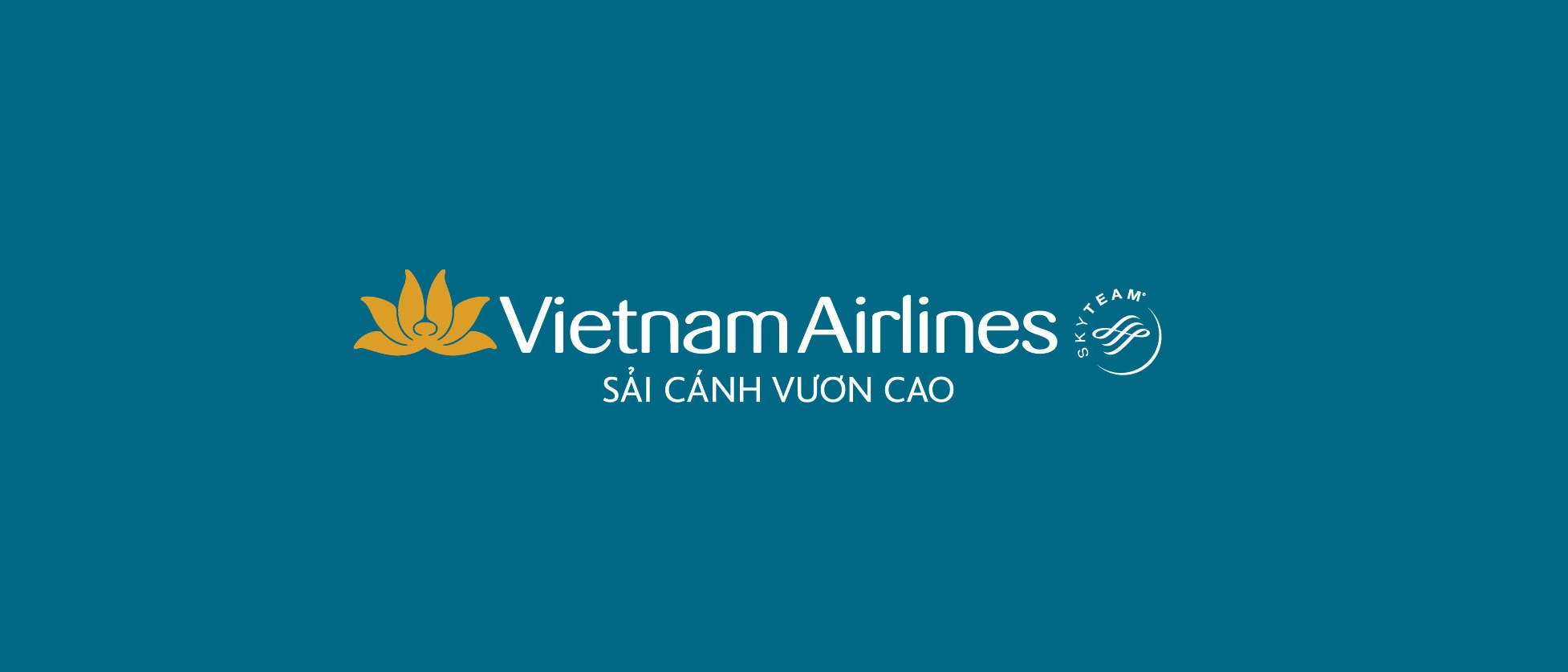 Vietnam Airlines VIB